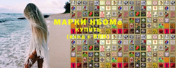 индика Арсеньев