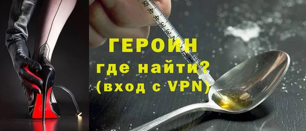 индика Арсеньев