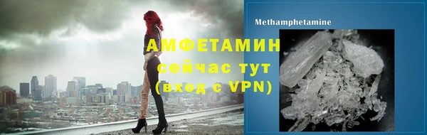 индика Арсеньев