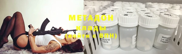 индика Арсеньев