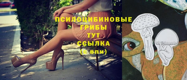 прущие крисы Армянск