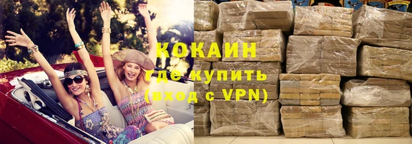 индика Арсеньев