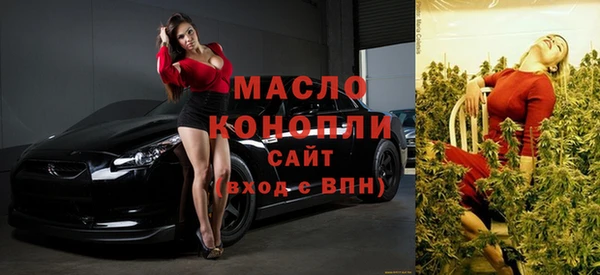 индика Арсеньев