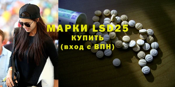 ПСИЛОЦИБИНОВЫЕ ГРИБЫ Аркадак