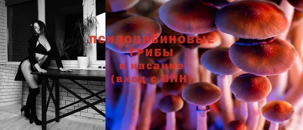 ПСИЛОЦИБИНОВЫЕ ГРИБЫ Аркадак