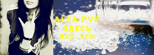индика Арсеньев