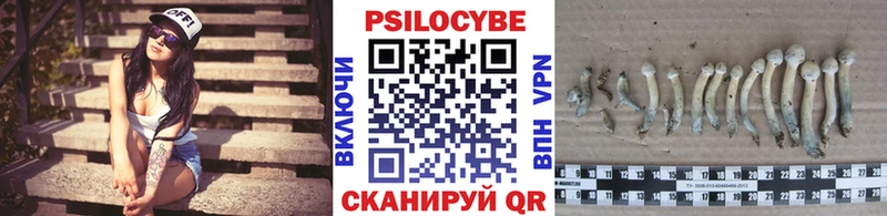 Псилоцибиновые грибы Psilocybine cubensis где купить наркоту Покровск